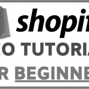 Shopify website positioning Optimization Tutorial For Rookies |  Step-by-step FREE TRAFFIC