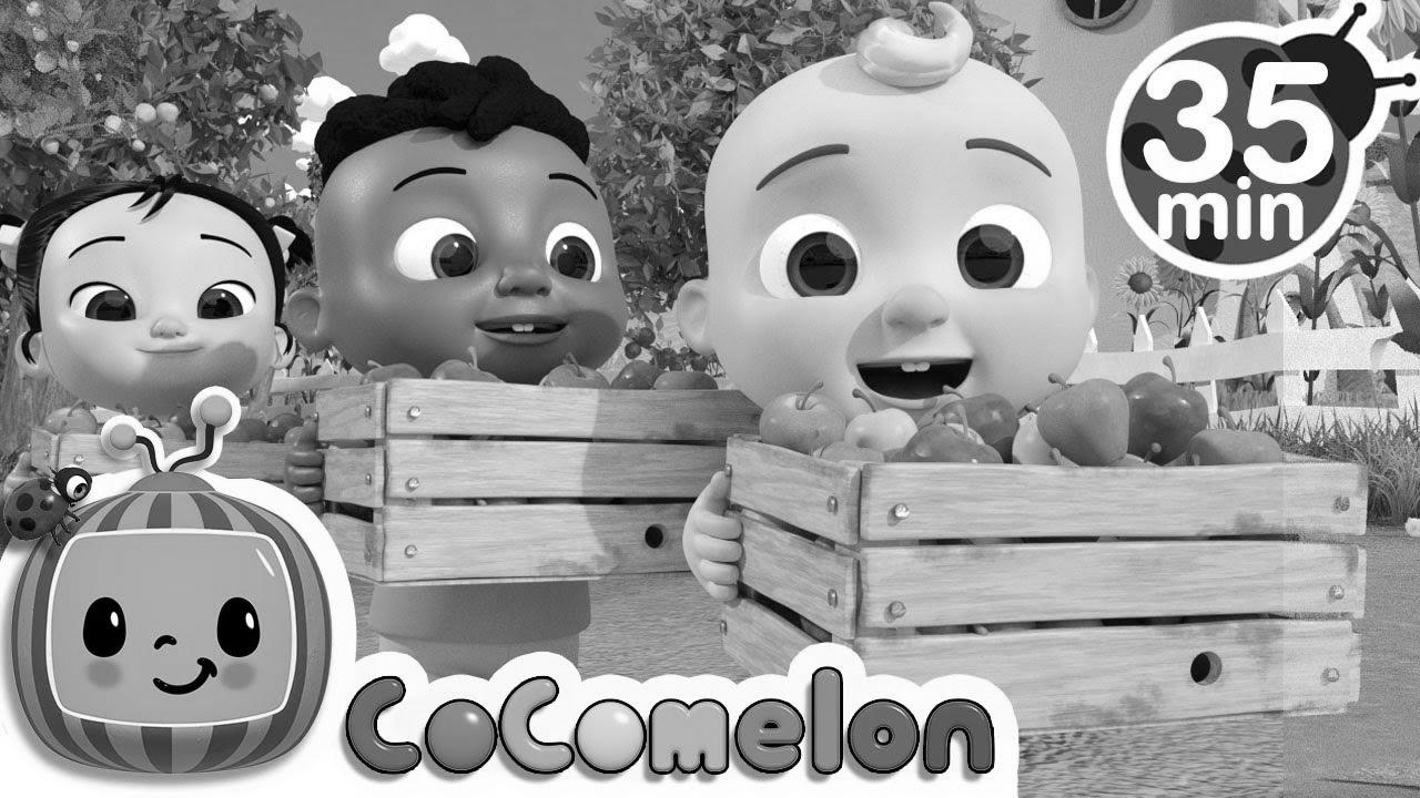 Be taught to Count with Apples + Extra Nursery Rhymes & Kids Songs – CoComelon