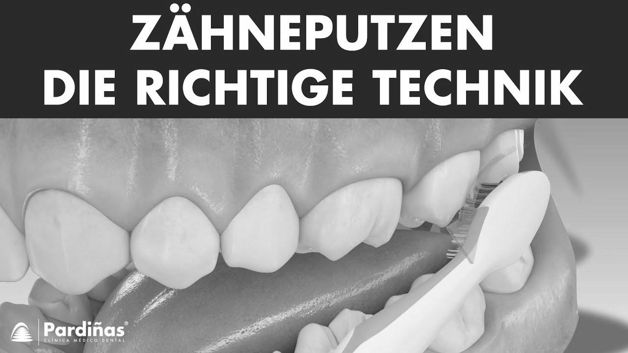 Brushing your tooth – The precise technique ©