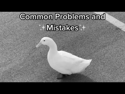 Methods to Decide Up a Duck #1 (full video)